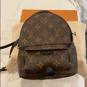 Louis Vuitton Palm Springs Backpack